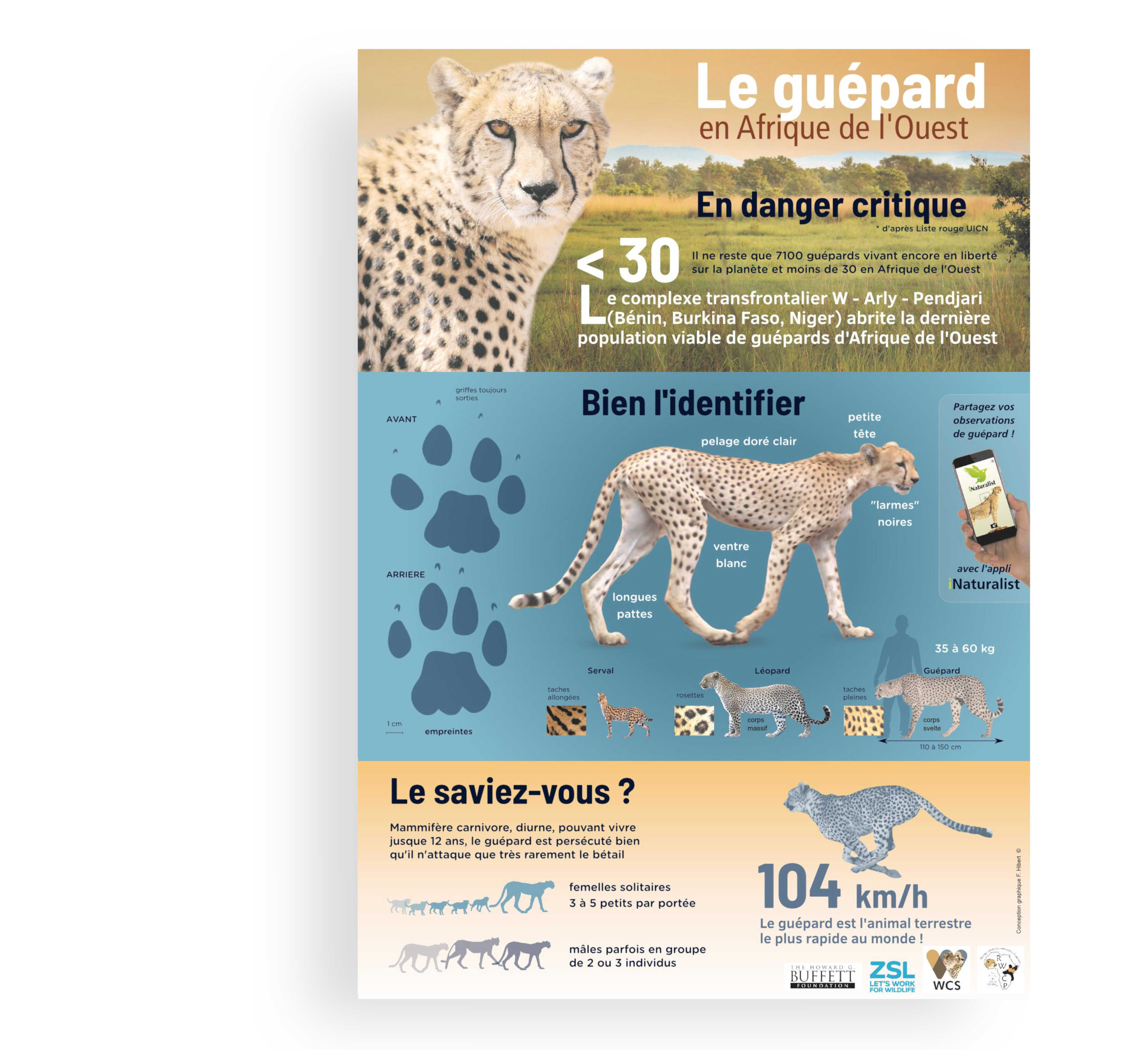 cheetah West Africa poster